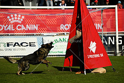 Baron von der tiefen Quelle