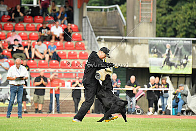 Barrac of Giant Black Hawks