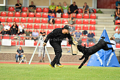 Barrac of Giant Black Hawks