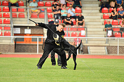 Barrac of Giant Black Hawks