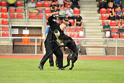 Barrac of Giant Black Hawks