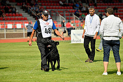 Barrac of Giant Black Hawks