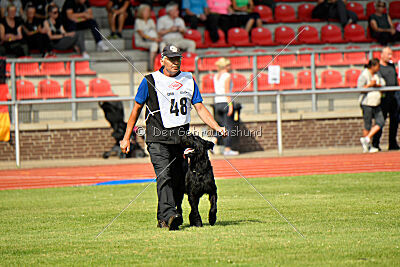 Barrac of Giant Black Hawks