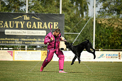 Barracof Giant Black Hawks