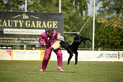Barracof Giant Black Hawks