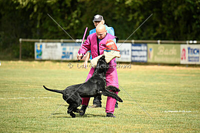 Barracof Giant Black Hawks