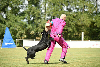 Barracof Giant Black Hawks