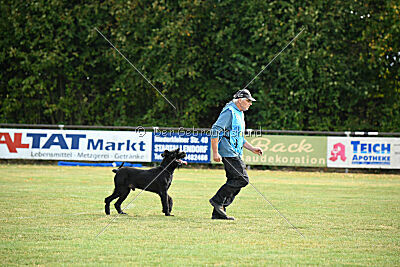 Barracof Giant Black Hawks