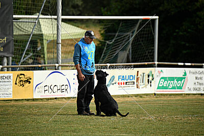 Barracof Giant Black Hawks