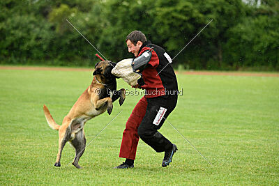 Barry de Fontemordant
