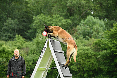 Barry de Fontemordant