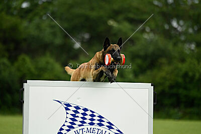 Barry de Fontemordant