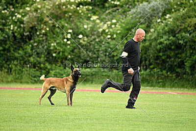 Barry de Fontemordant