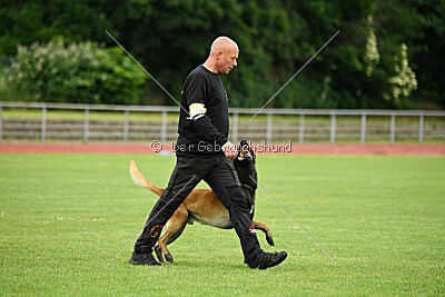 Barry de Fontemordant