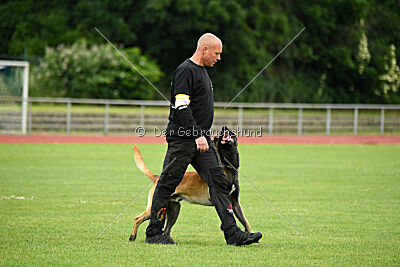 Barry de Fontemordant