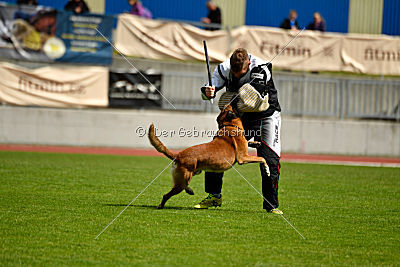 Basala of Bravehouse