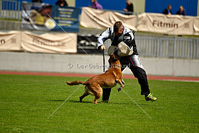 Basala of Bravehouse