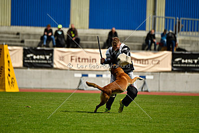 Basala of Bravehouse