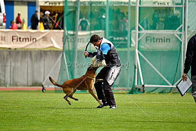 Basala of Bravehouse