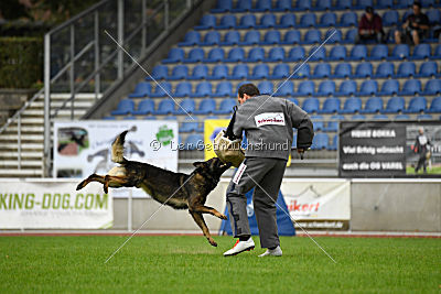 Basko von der Haugshöhe