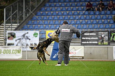 Basko von der Haugshöhe