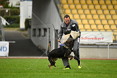 Basko von der Haugshöhe