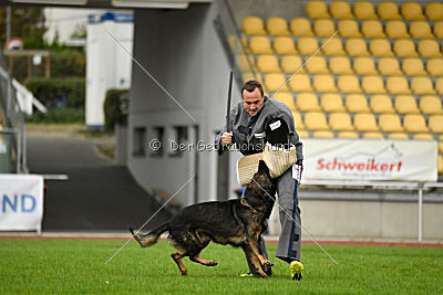 Basko von der Haugshöhe