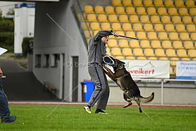 Basko von der Haugshöhe