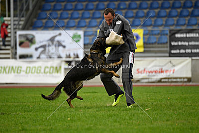 Basko von der Haugshöhe