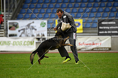 Basko von der Haugshöhe