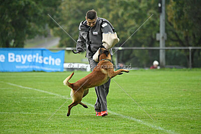 Basko von der Klassikerstadt