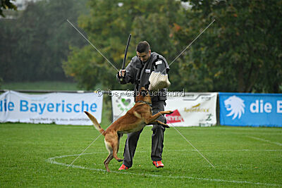 Basko von der Klassikerstadt