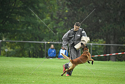 Basko von der Klassikerstadt