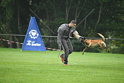 Basko von der Klassikerstadt