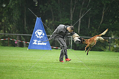 Basko von der Klassikerstadt