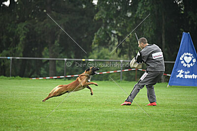 Basko von der Klassikerstadt