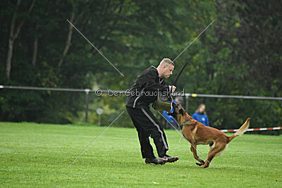 Basko von der Klassikerstadt