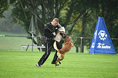 Basko von der Klassikerstadt