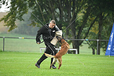 Basko von der Klassikerstadt