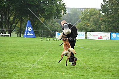 Basko von der Klassikerstadt