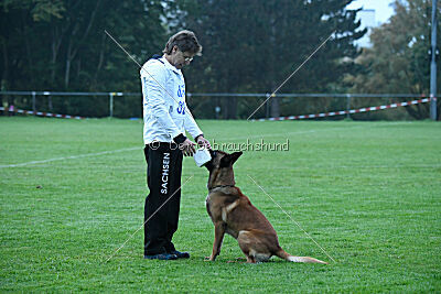 Basko von der Klassikerstadt