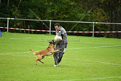Baxel vom Haus Edental