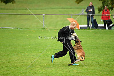 Baxel vom Haus Edental