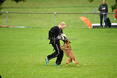 Baxel vom Haus Edental