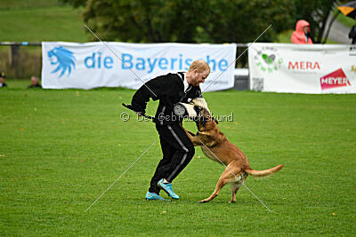 Baxel vom Haus Edental