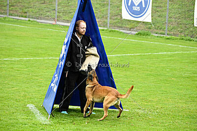 Baxel vom Haus Edental