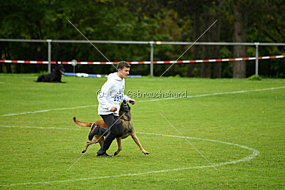 Baxel vom Haus Edental