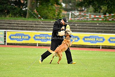 Baxel vom Haus Edental