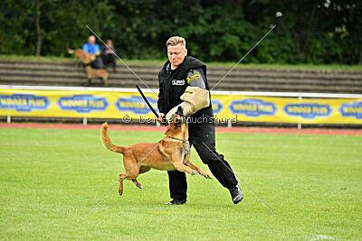 Baxel vom Haus Edental