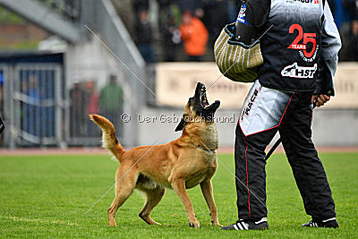 Baxx vom roten Drachen